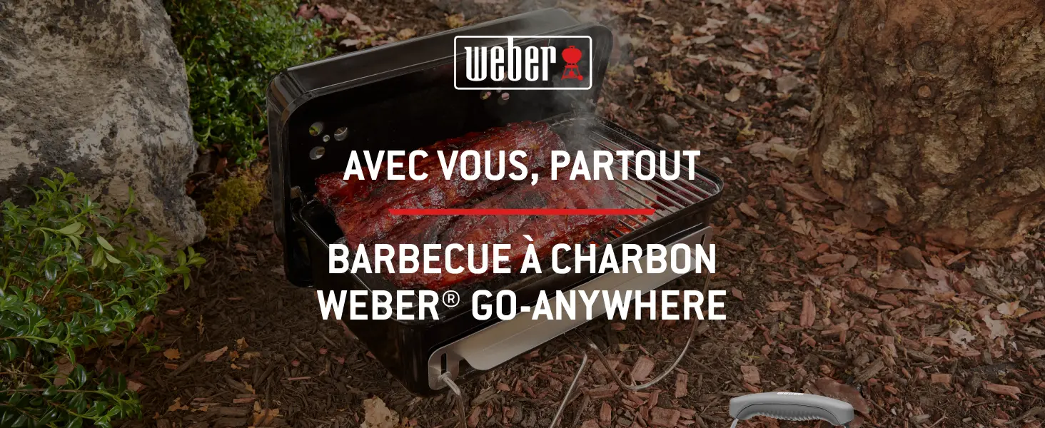 Barbecue weber 4 places en métal noir 42 m² — contenu détaillé 1