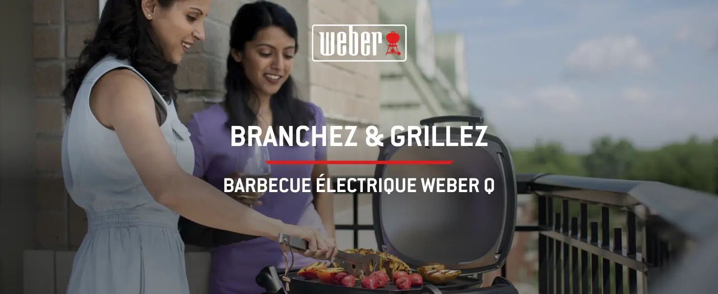 Barbecue weber en métal noir 43 m² — contenu détaillé 1