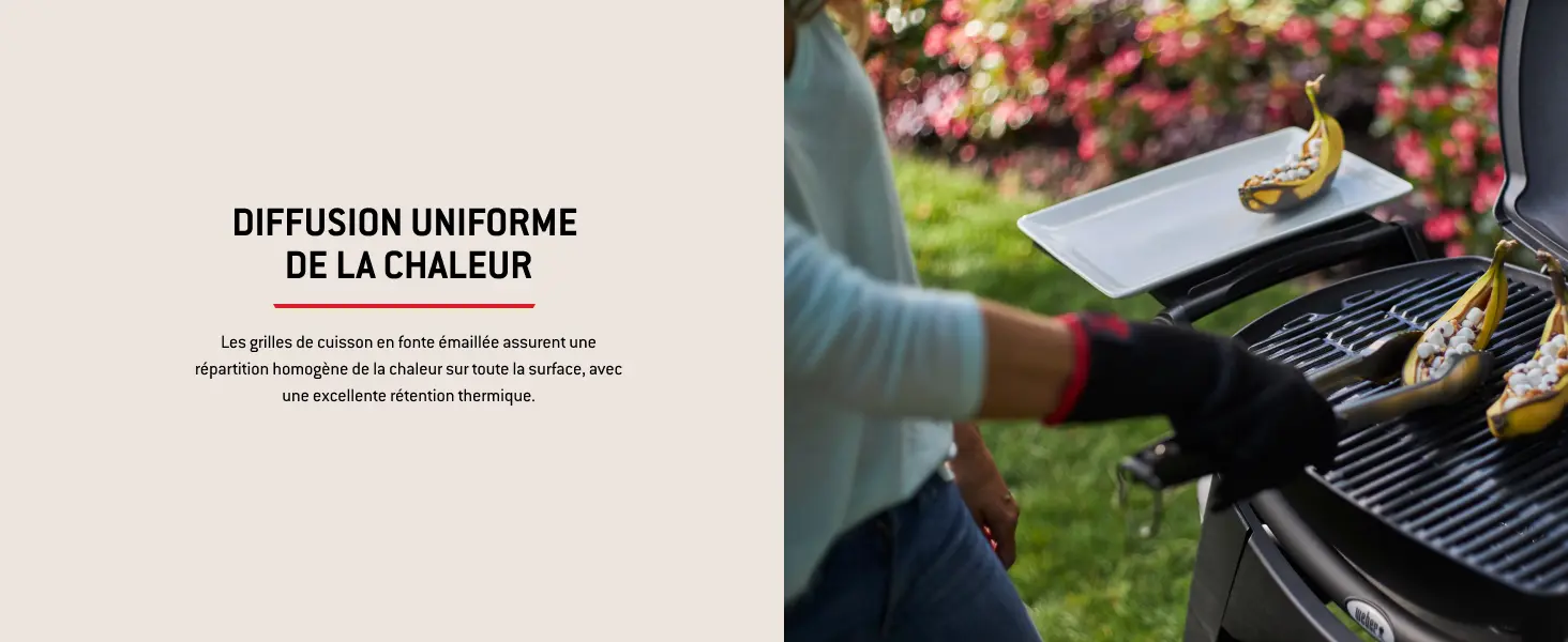 Barbecue weber en métal noir 43 m² — contenu détaillé 8