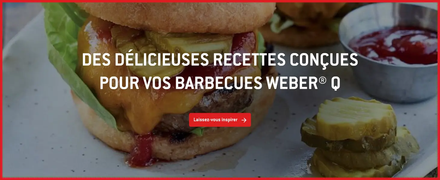 Barbecue weber en métal noir 43 m² — contenu détaillé 10