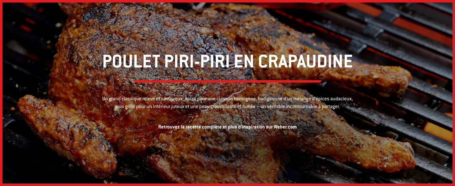 Barbecue weber en métal noir 43 m² — contenu détaillé 12