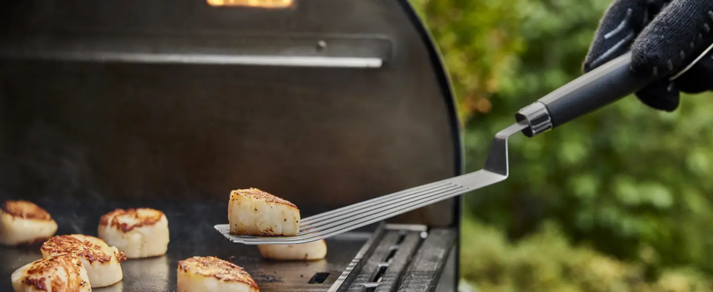 Barbecue weber en métal noir 43 m² — contenu détaillé 16