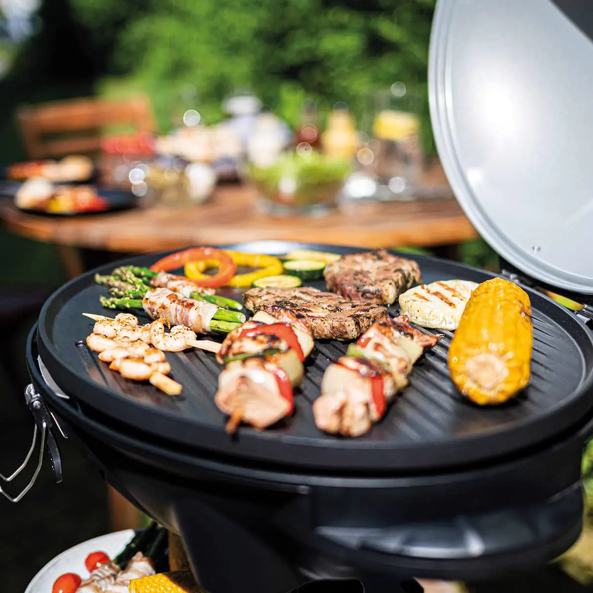 Barbecue électrique 53 m² vue 7