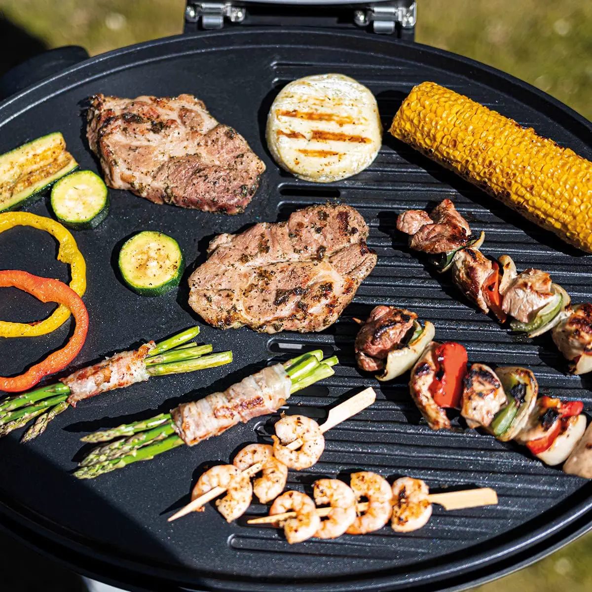 Barbecue électrique 53 m² vue 8