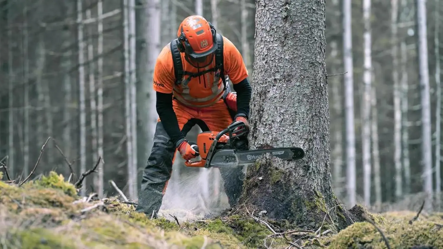 Tronçonneuse thermique Husqvarna Tronçonneuse 572 XP vue 2