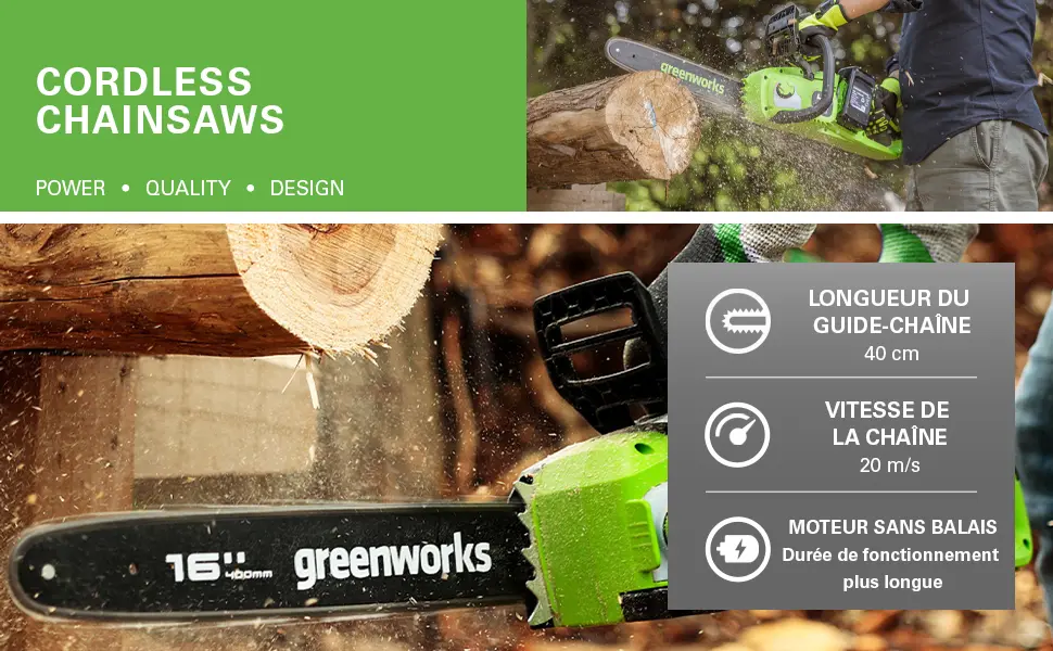 Tronçonneuse électrique Greenworks G40PSFK2 Élagueuse sur Perche — contenu détaillé 1