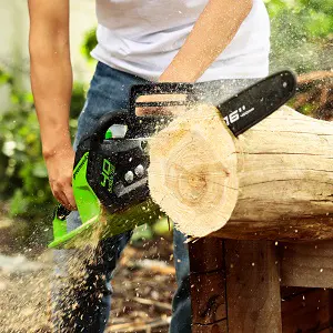 Tronçonneuse électrique Greenworks G40PSFK2 Élagueuse sur Perche — contenu détaillé 3