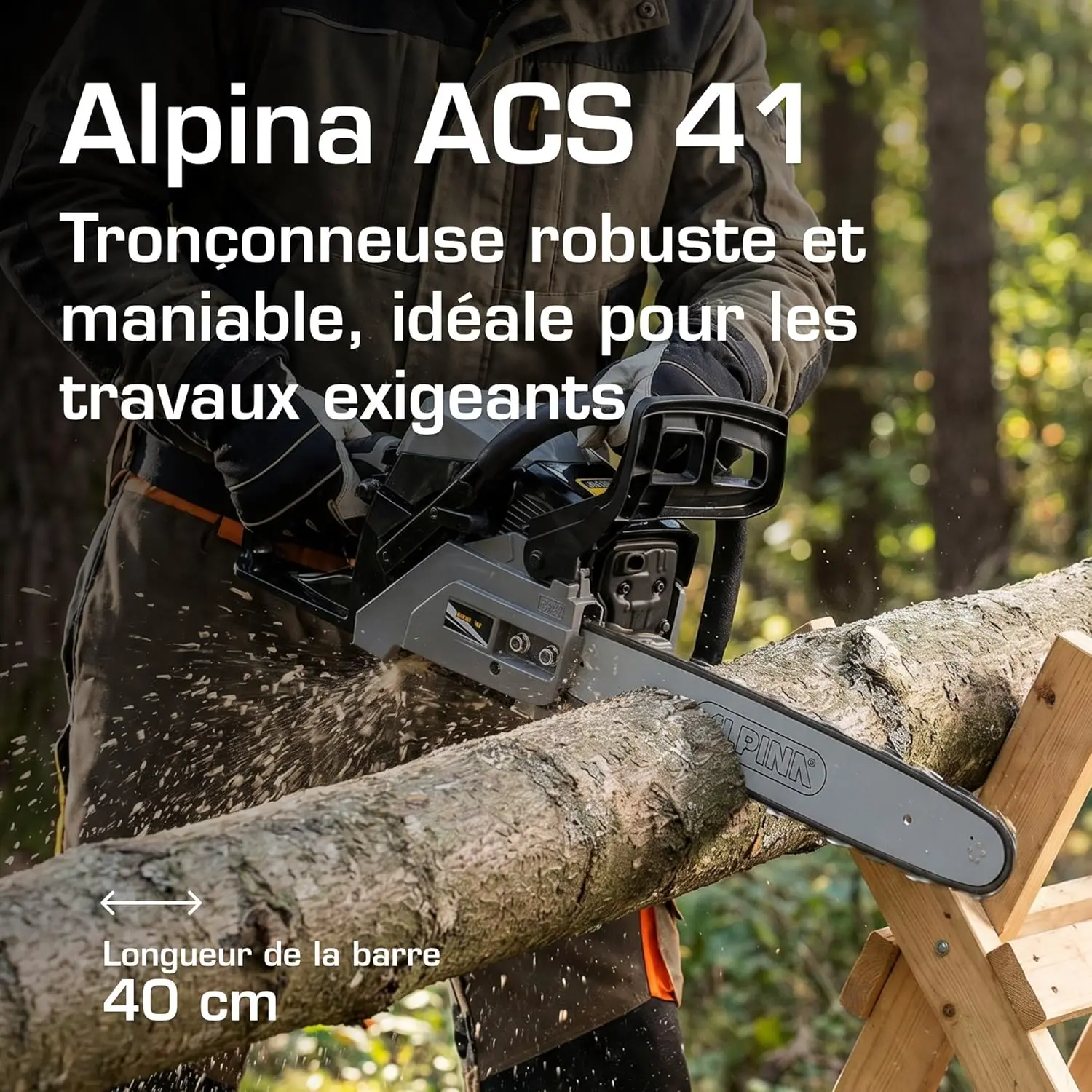 Tronçonneuse thermique Alpina Tronçonneuse Thermique ACS 41 vue 2