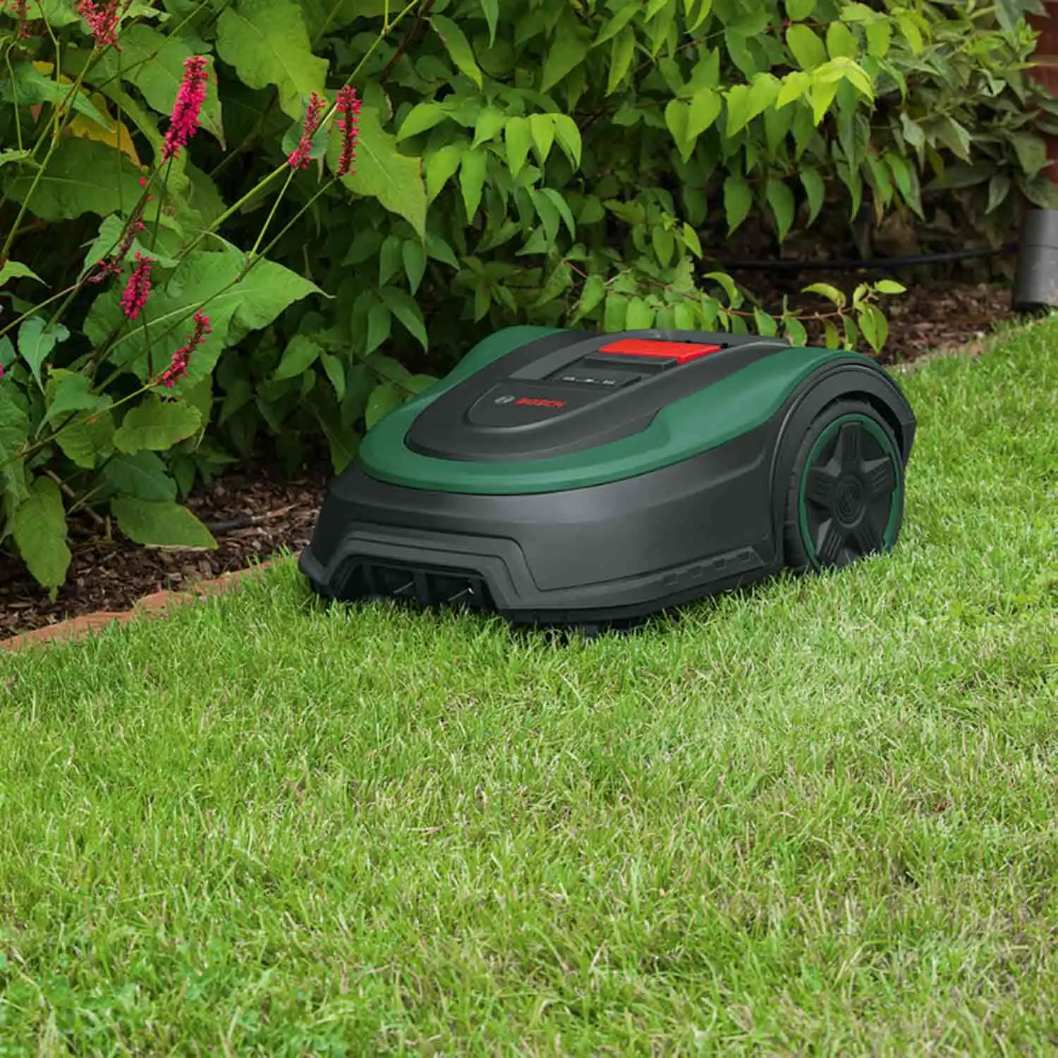 Robot tondeuse vert vue 6