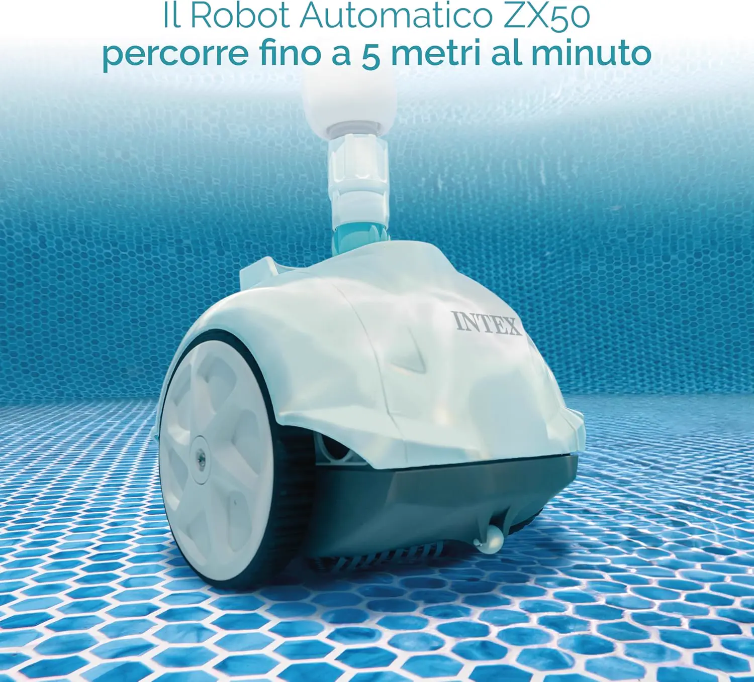 Robot piscine blanc/bleu vue 5