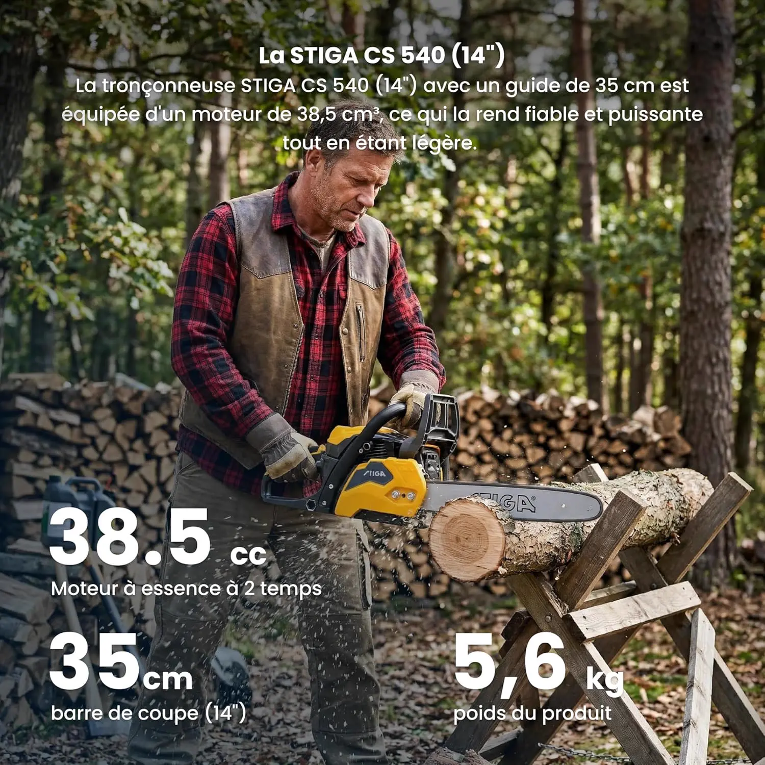 Tronçonneuse thermique en bois vue 2