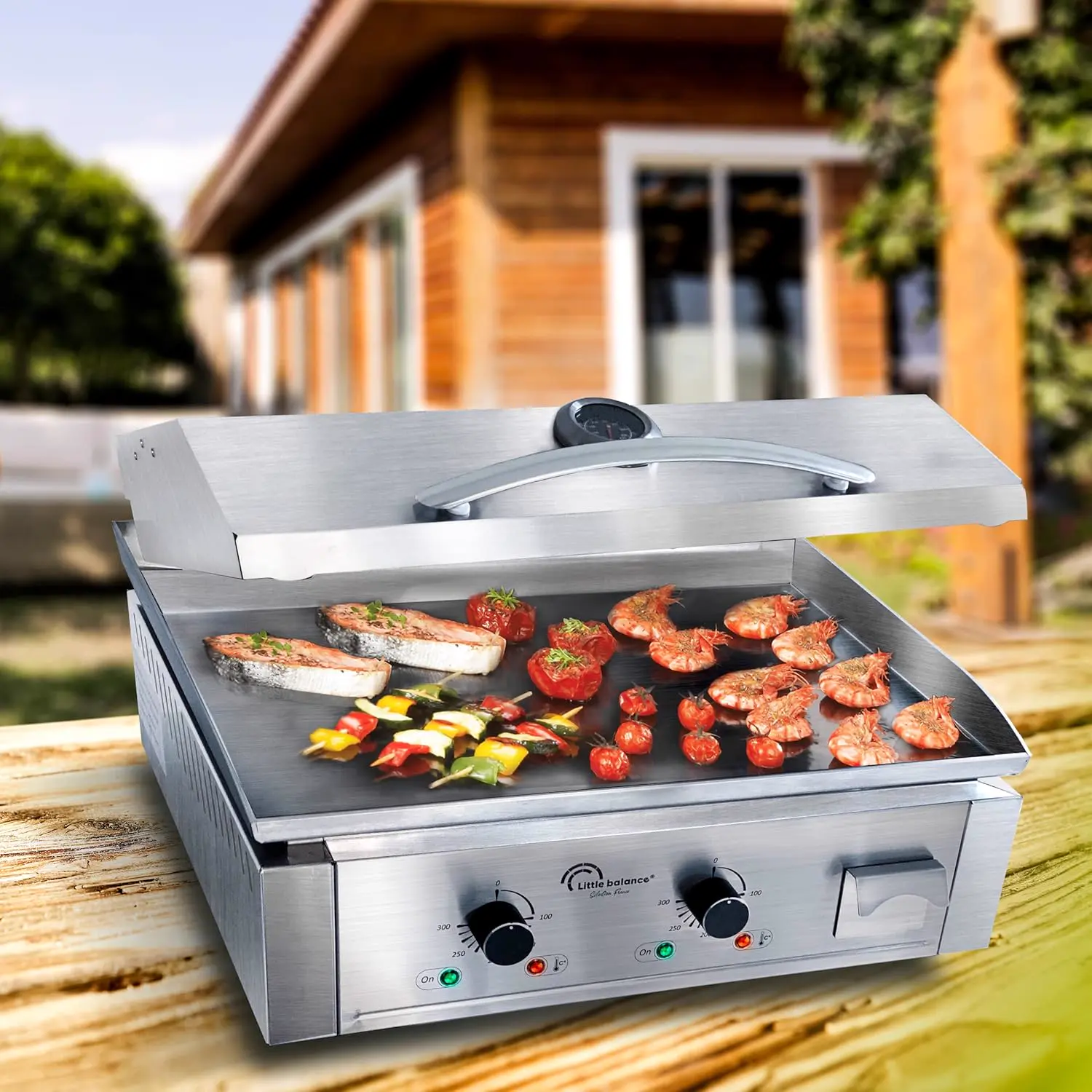 Plancha 10 places en aluminium 5,9x3,8 m vue 6