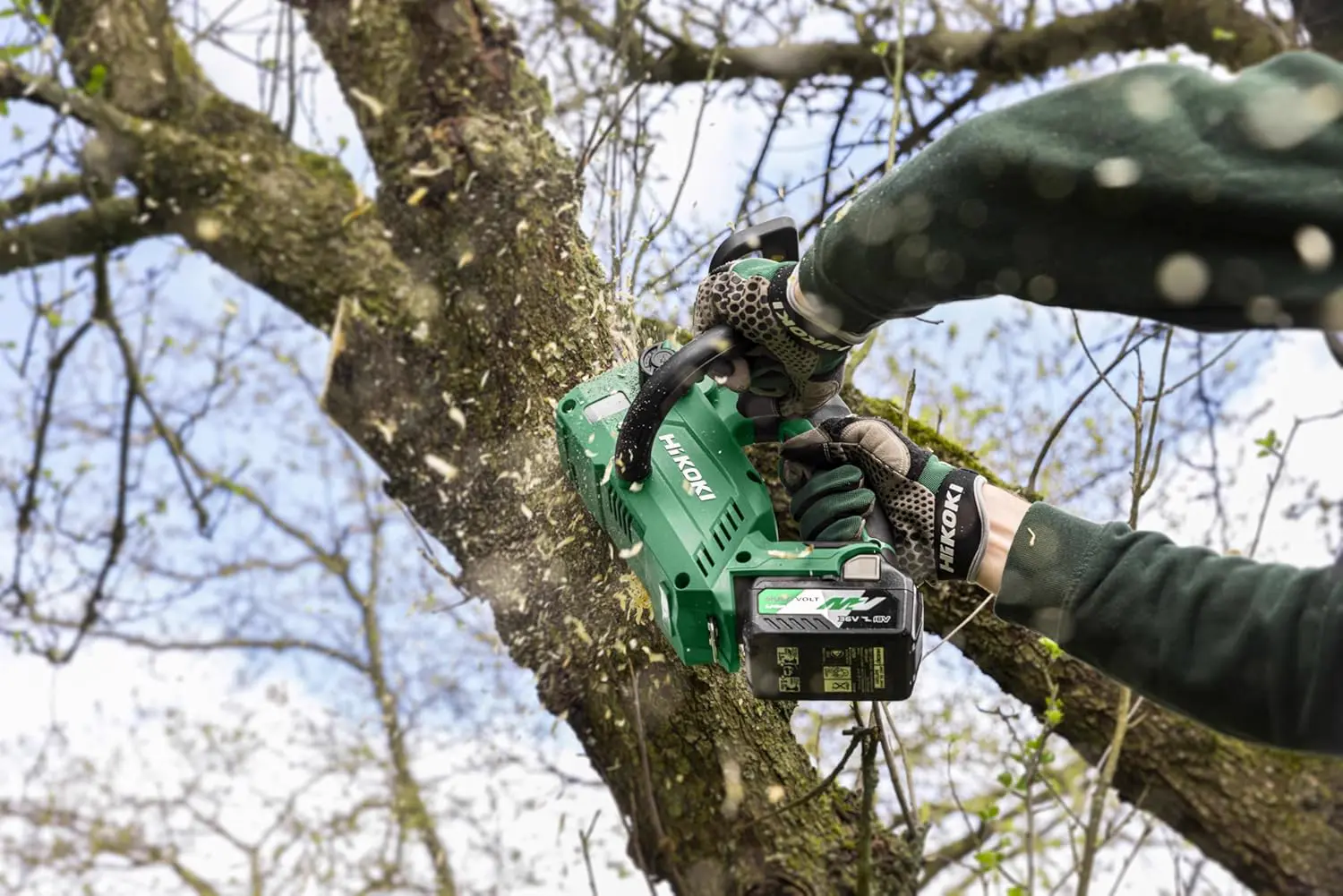 Tronçonneuse électrique en bois vue 3