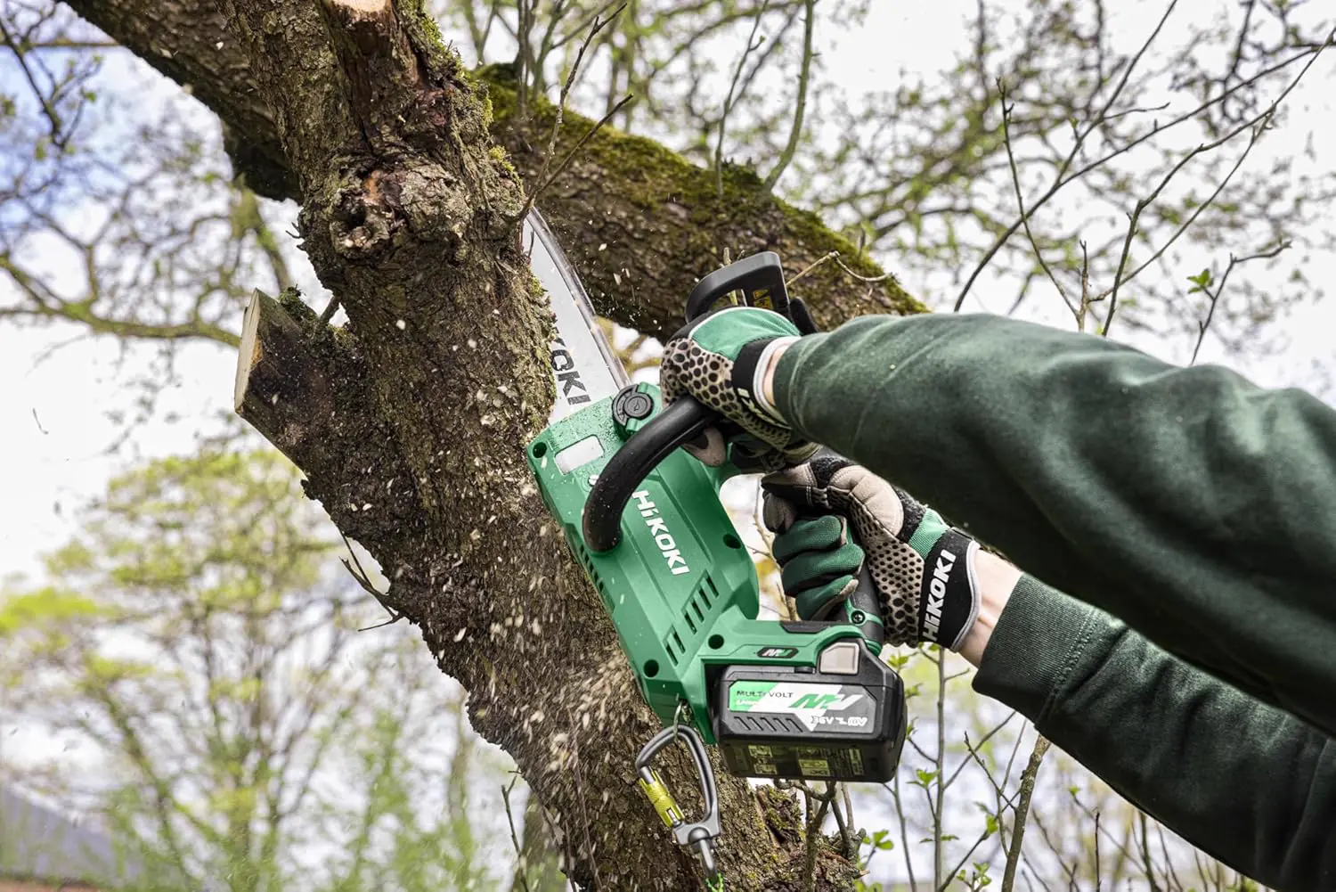 Tronçonneuse électrique en bois vue 4