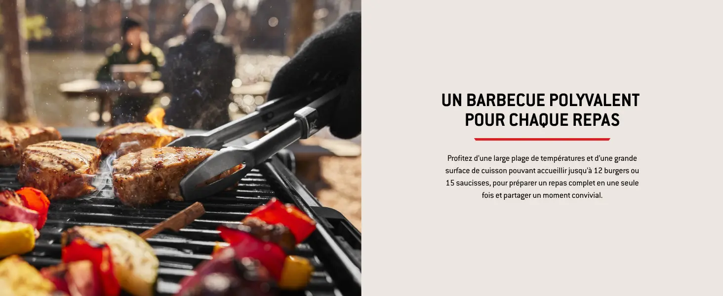 Barbecue weber 4 places en métal noir 52 m² — contenu détaillé 7