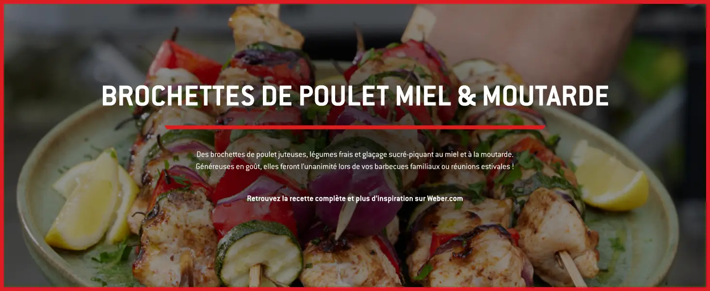 Barbecue weber 4 places en métal noir 52 m² — contenu détaillé 12