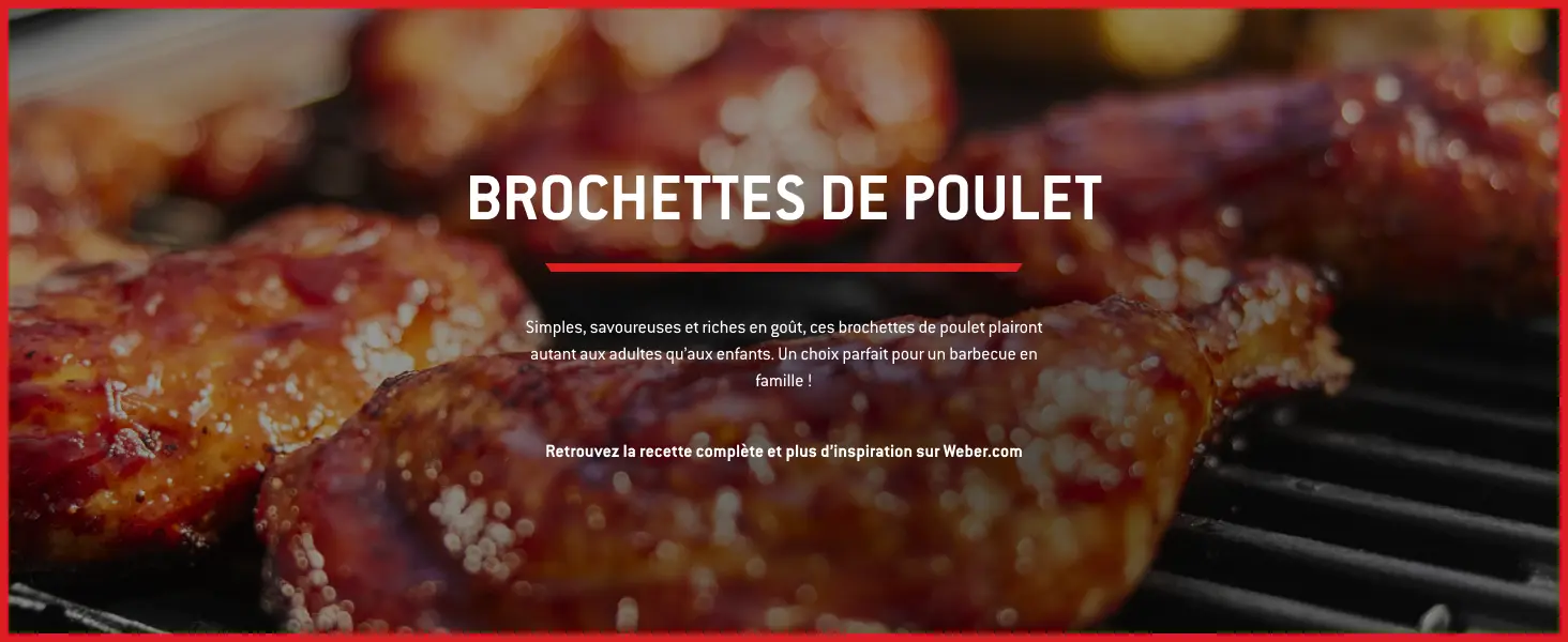 Barbecue weber 4 places en métal noir 52 m² — contenu détaillé 13