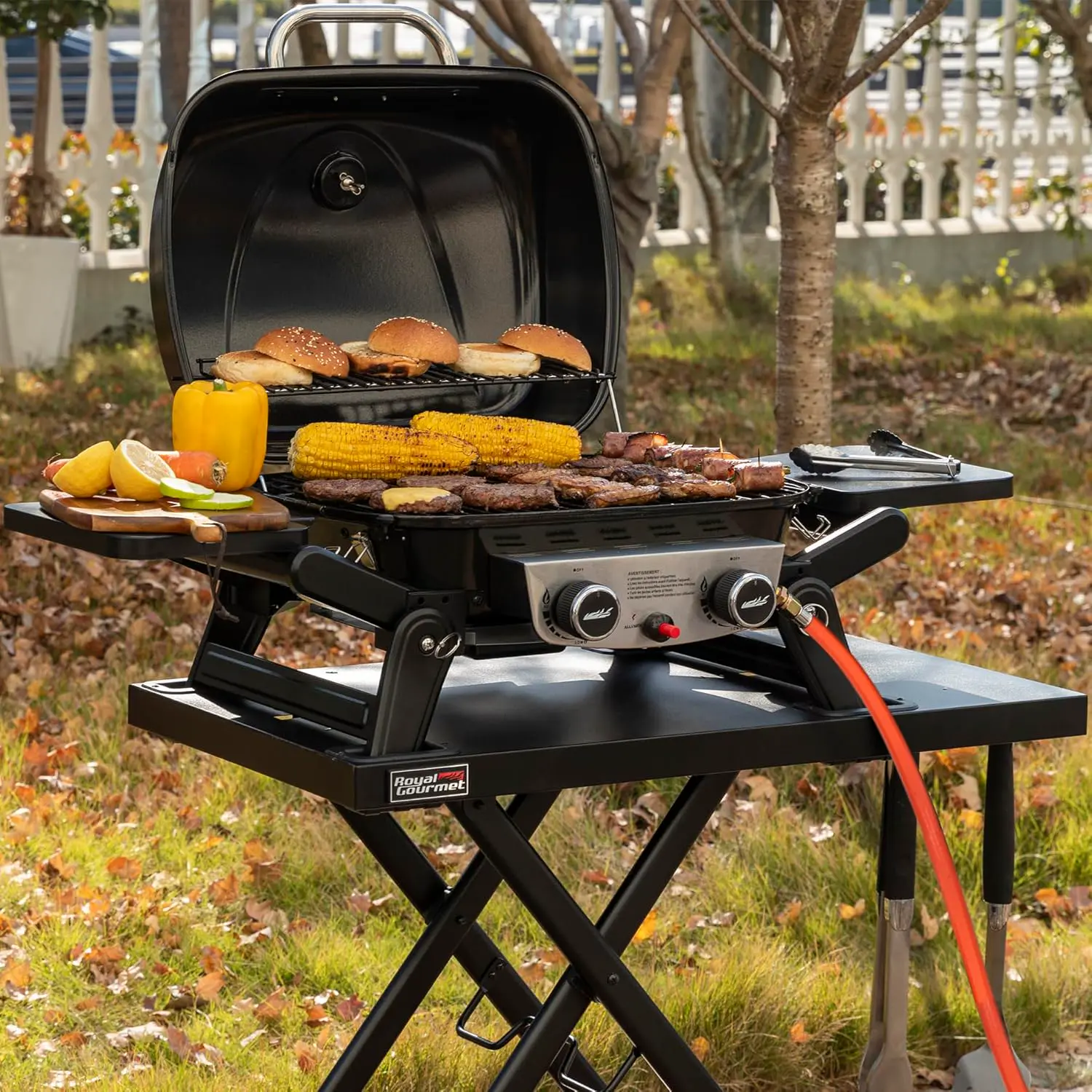 Barbecue à gaz en métal vue 2