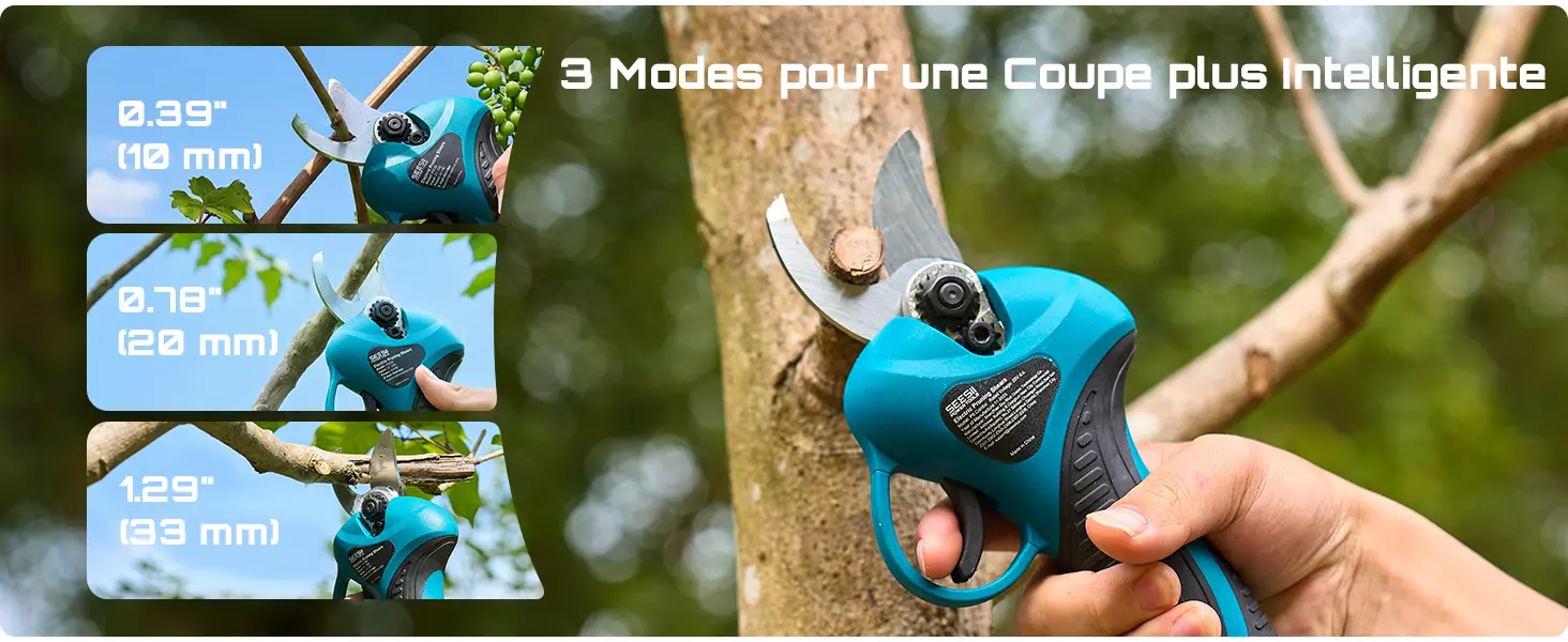 Tronçonneuse à batterie SEESII P6 Combo 6 Pouces Mini Tronconn… — contenu détaillé 9