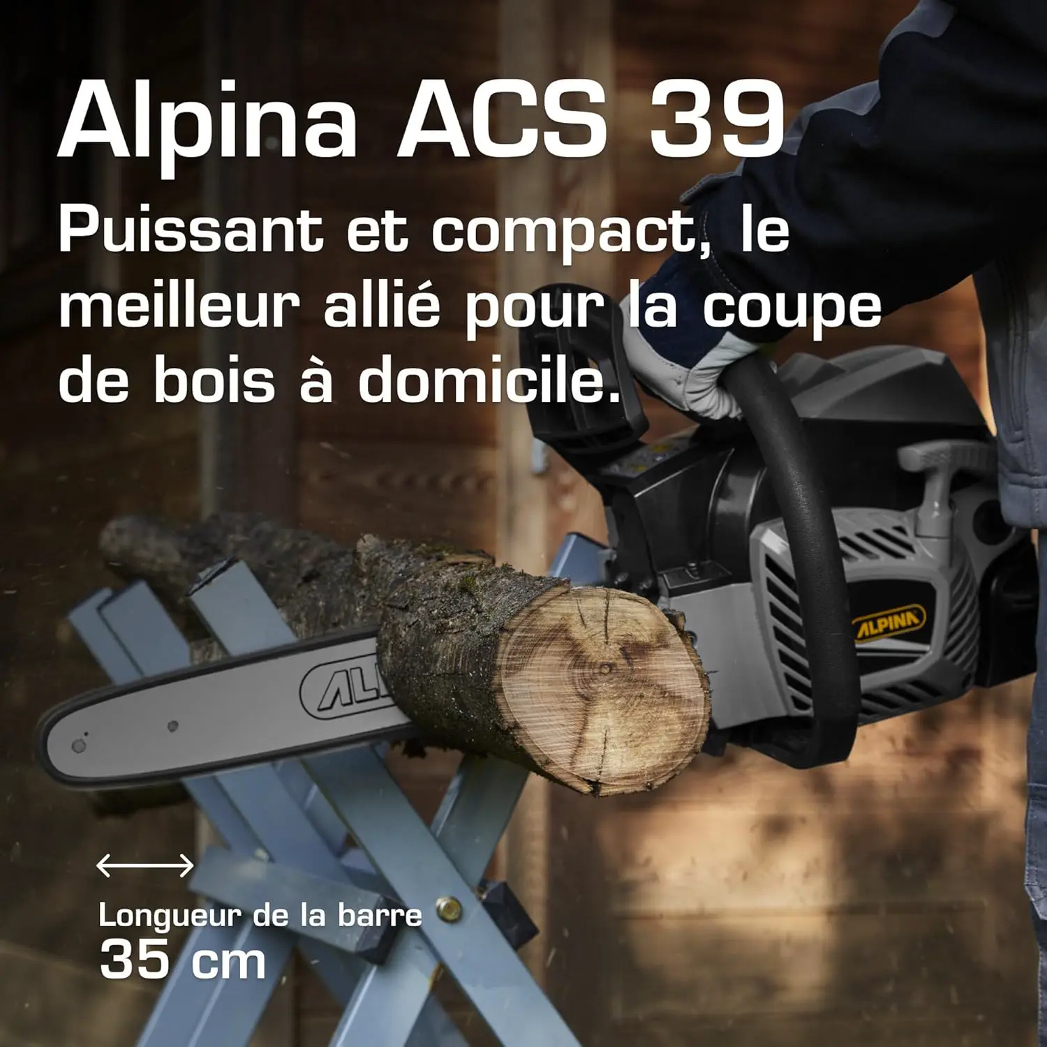 Tronçonneuse thermique Alpina ACS 39 Tronçonneuse Thermique vue 2