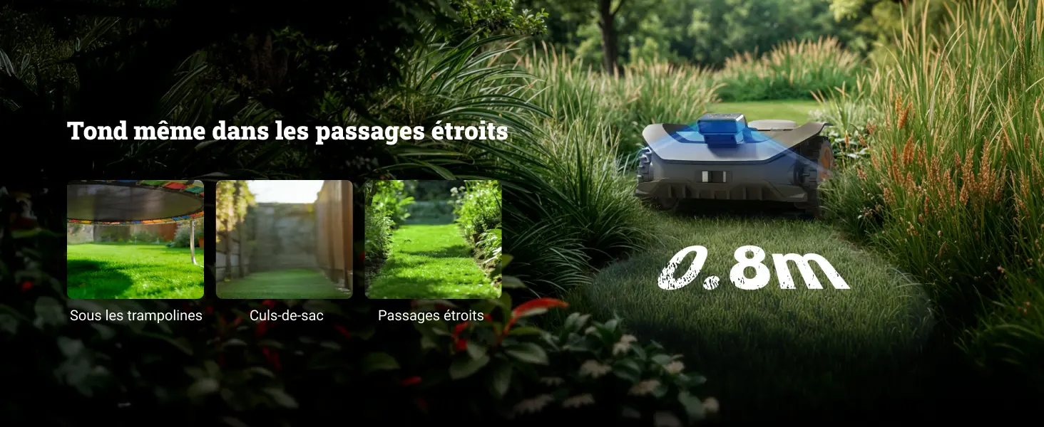 Robot tondeuse naturel — contenu détaillé 6