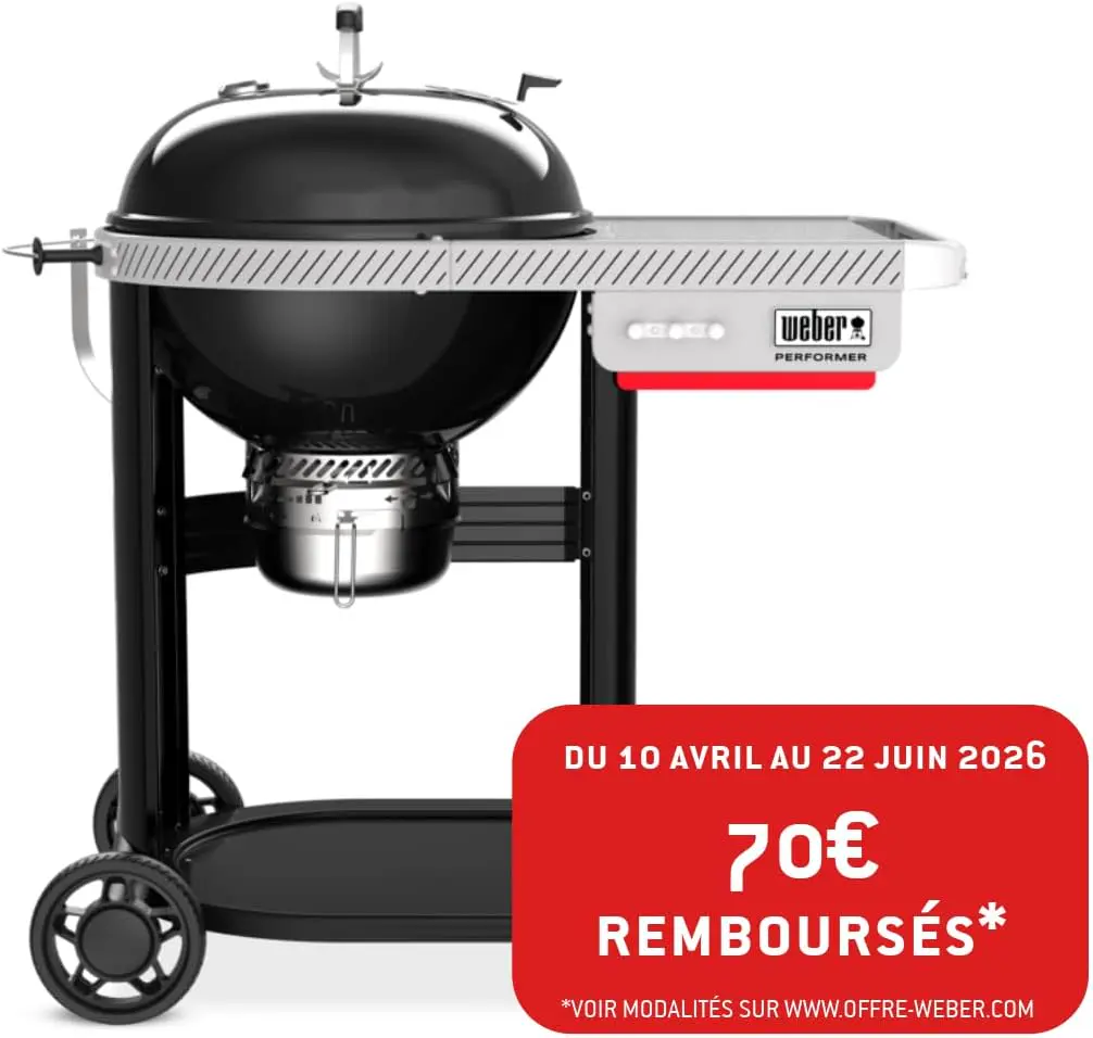 Barbecue weber 8 places en métal 57 m² vue 2