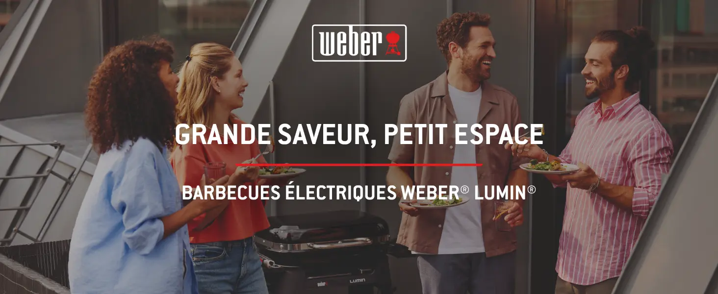 Barbecue weber noir — contenu détaillé 1