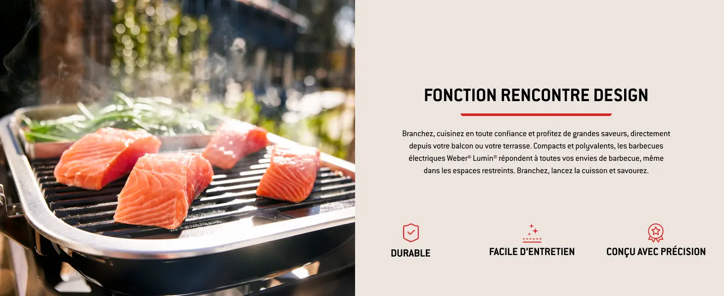 Barbecue weber noir — contenu détaillé 2