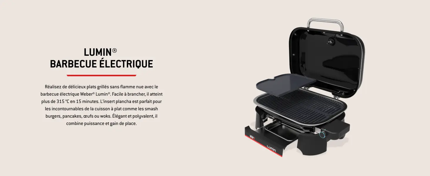 Barbecue weber noir — contenu détaillé 5