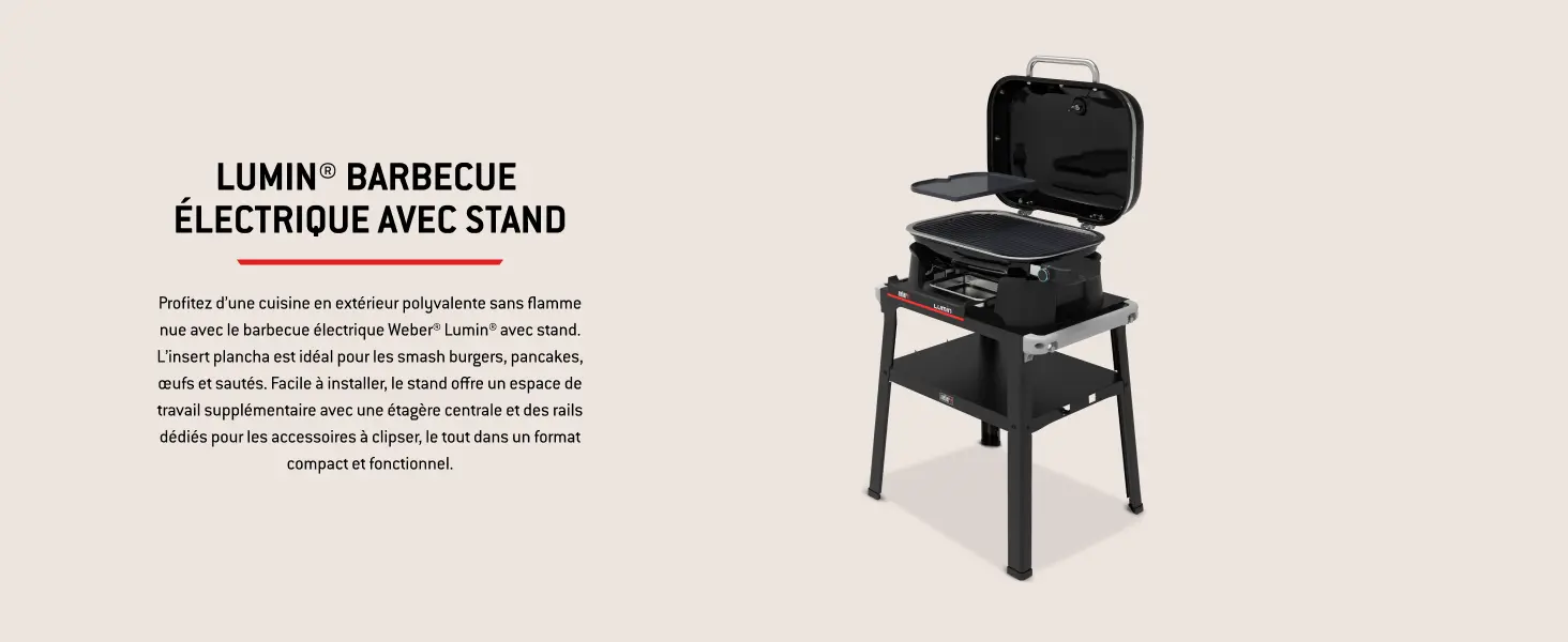 Barbecue weber noir — contenu détaillé 6