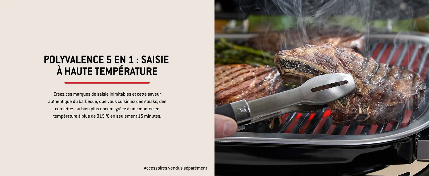 Barbecue weber noir — contenu détaillé 7