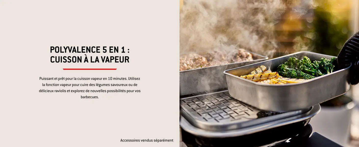 Barbecue weber noir — contenu détaillé 8