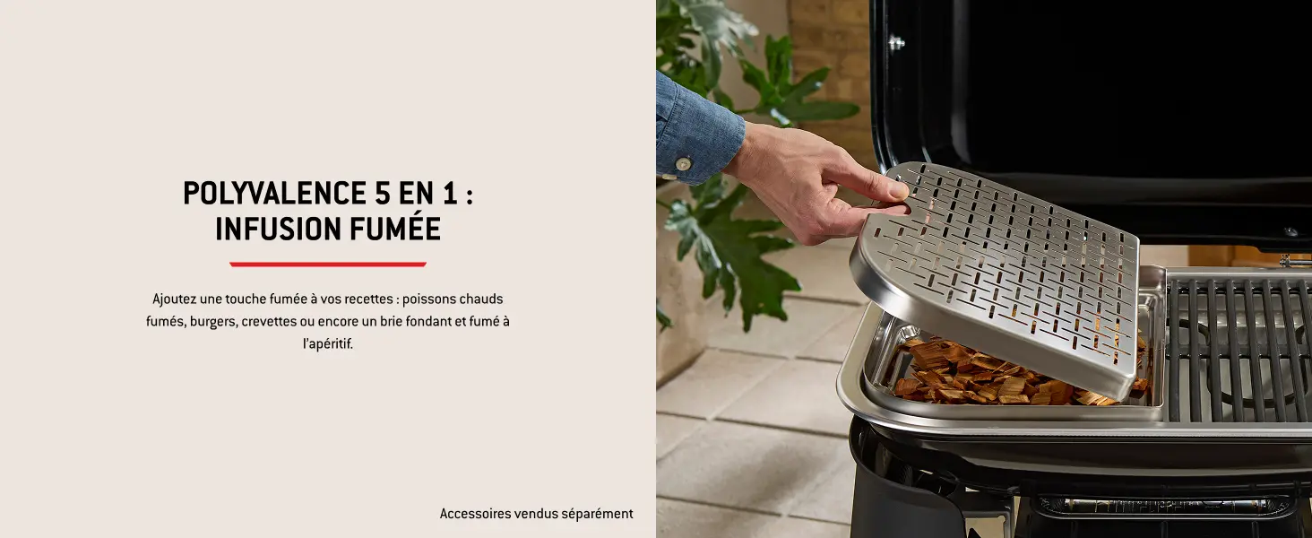 Barbecue weber noir — contenu détaillé 9