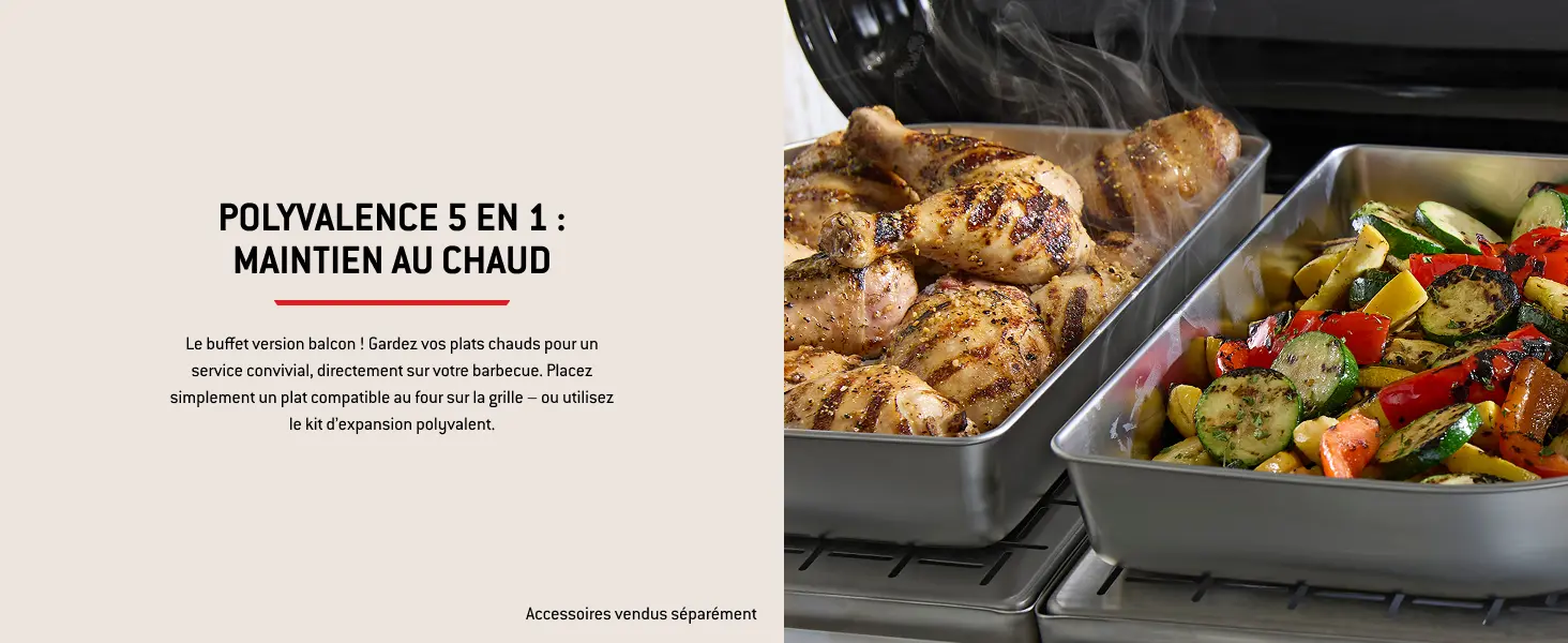 Barbecue weber noir — contenu détaillé 10