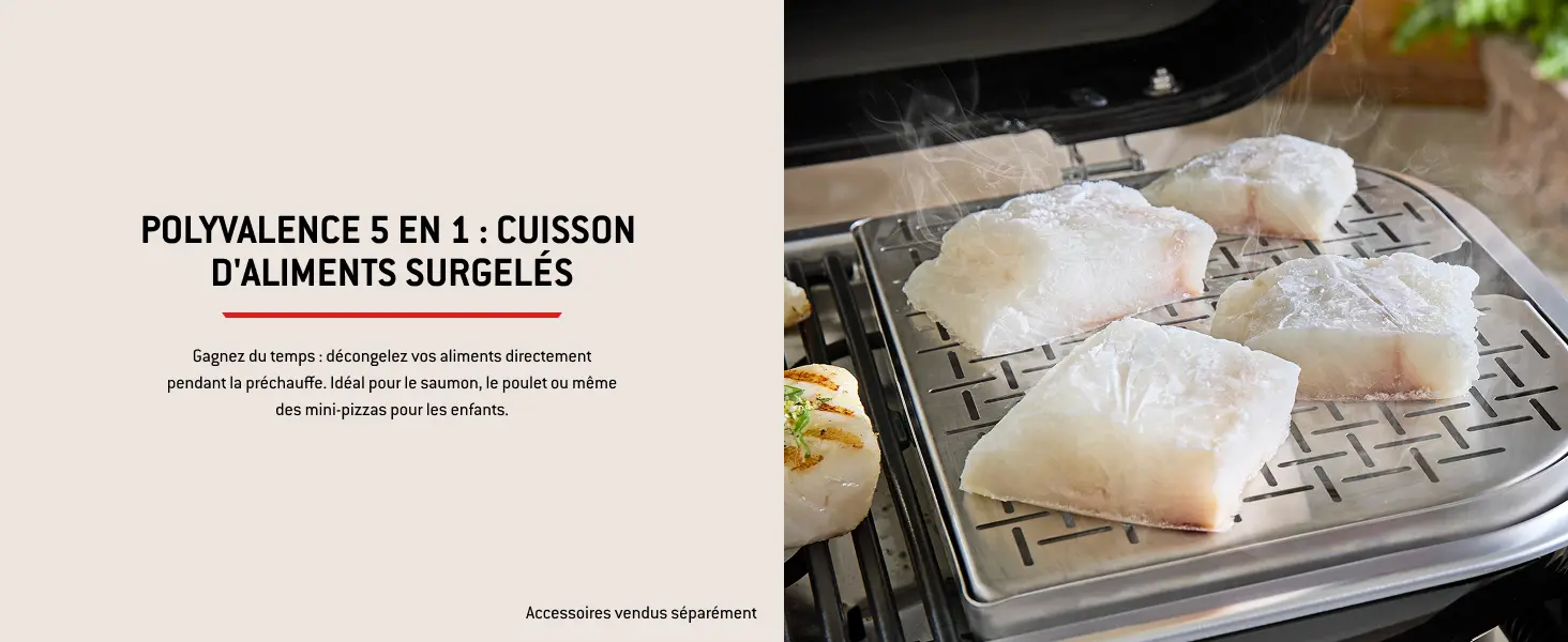 Barbecue weber noir — contenu détaillé 11
