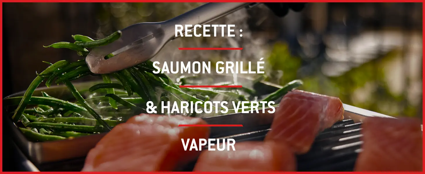 Barbecue weber noir — contenu détaillé 12
