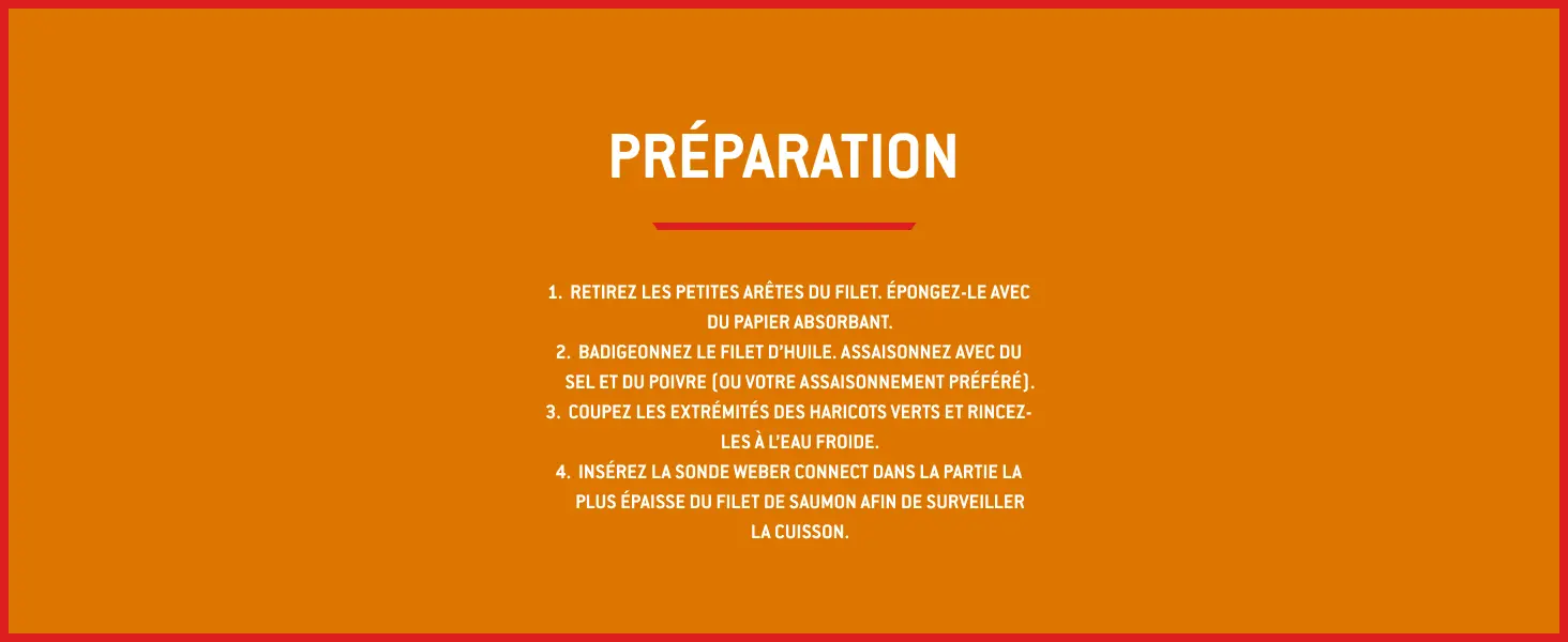 Barbecue weber noir — contenu détaillé 14