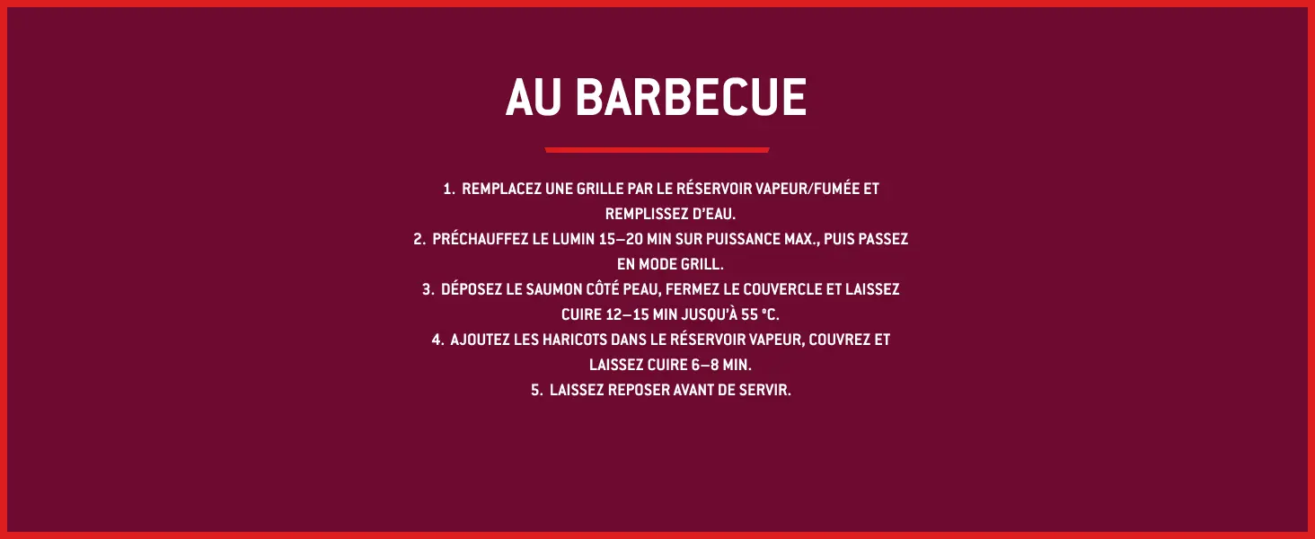 Barbecue weber noir — contenu détaillé 15