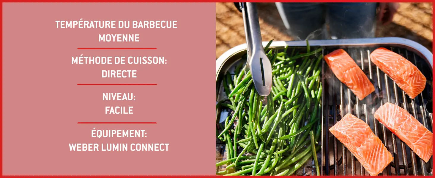 Barbecue weber noir — contenu détaillé 16