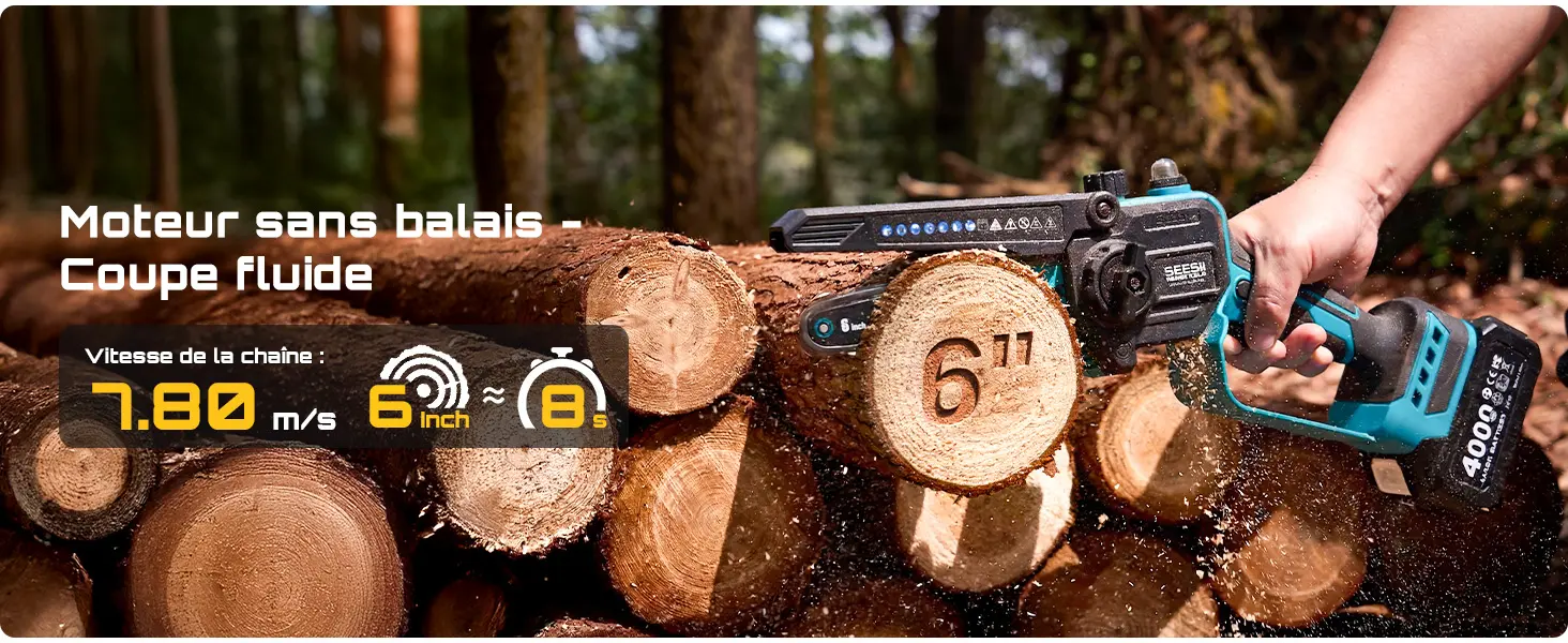 Tronçonneuse électrique 2x4 m — contenu détaillé 4