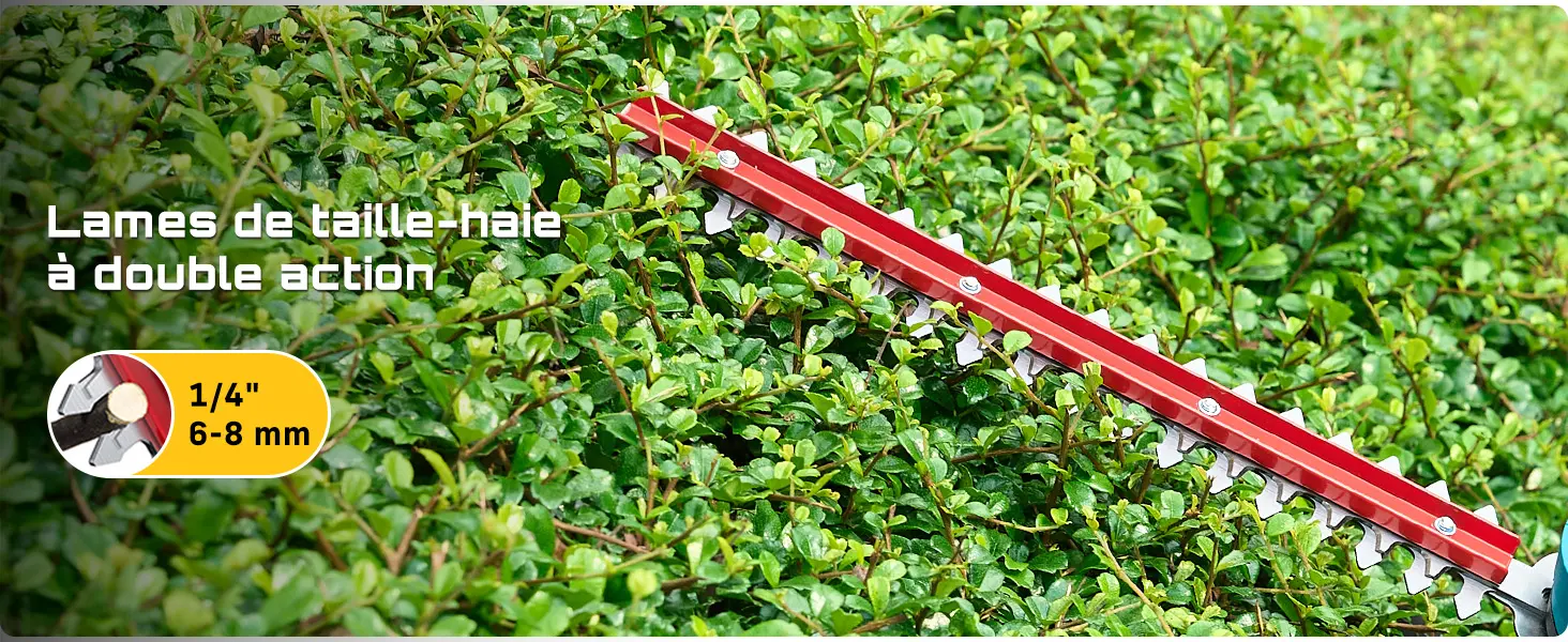 Tronçonneuse électrique 2x4 m — contenu détaillé 9