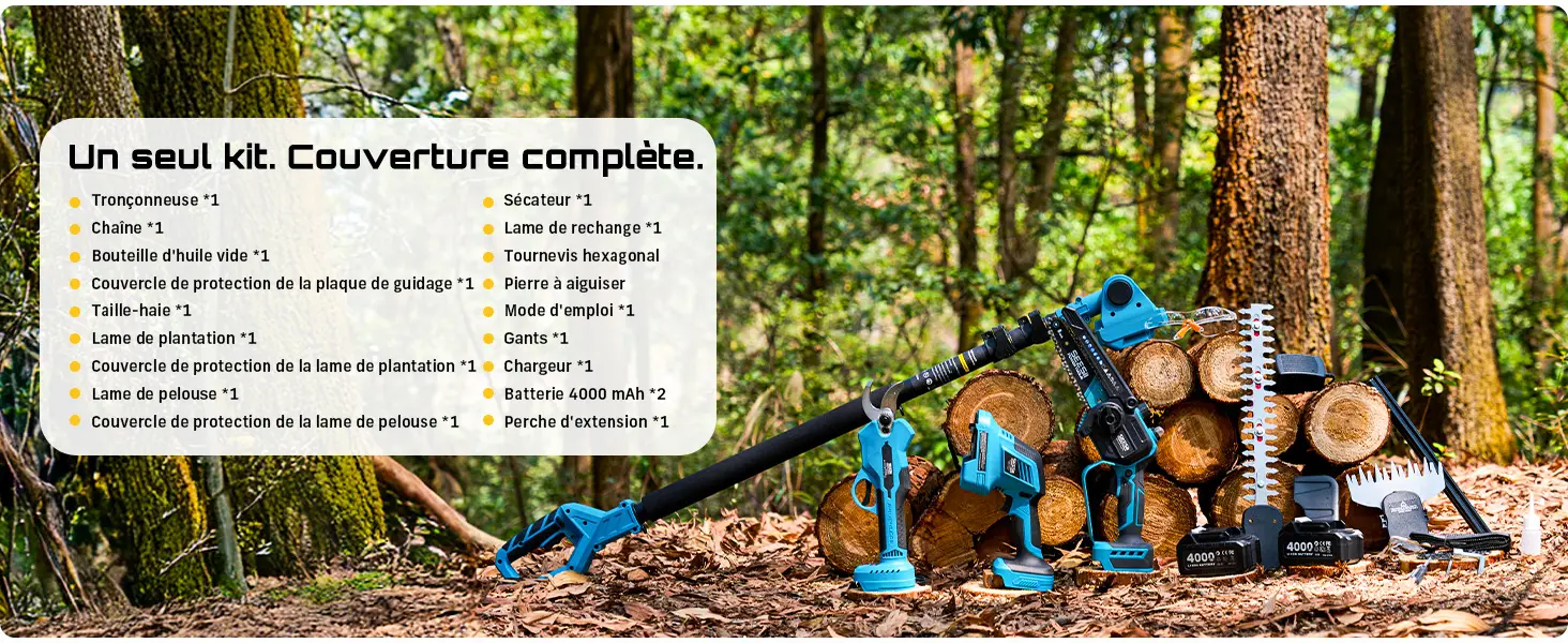 Tronçonneuse électrique 2x4 m — contenu détaillé 14