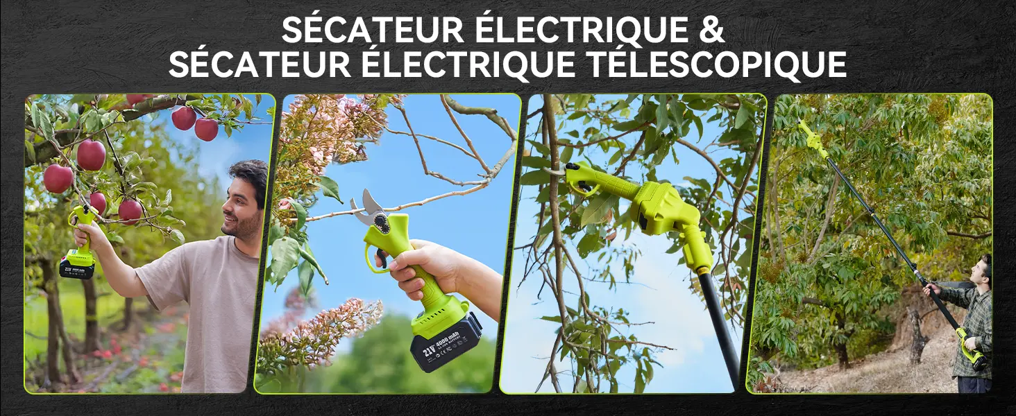 Tronçonneuse à batterie Supstable Mini Tronconneuse avec Perch… — contenu détaillé 7