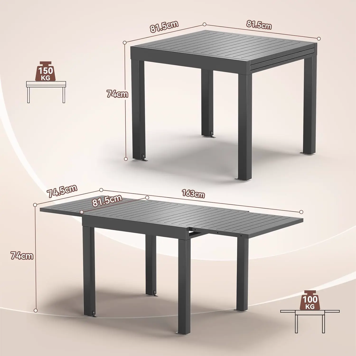Table de jardin 10 places en aluminium vue 3