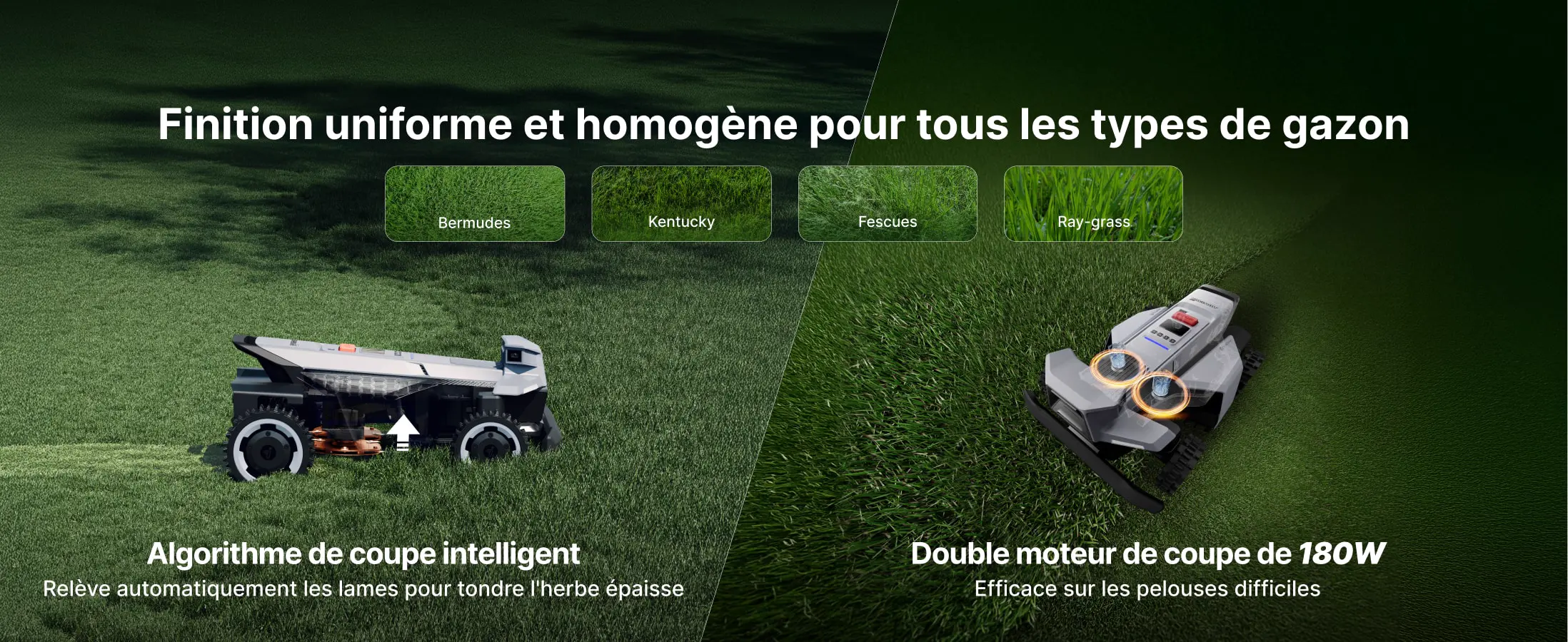Robot tondeuse gris — contenu détaillé 5