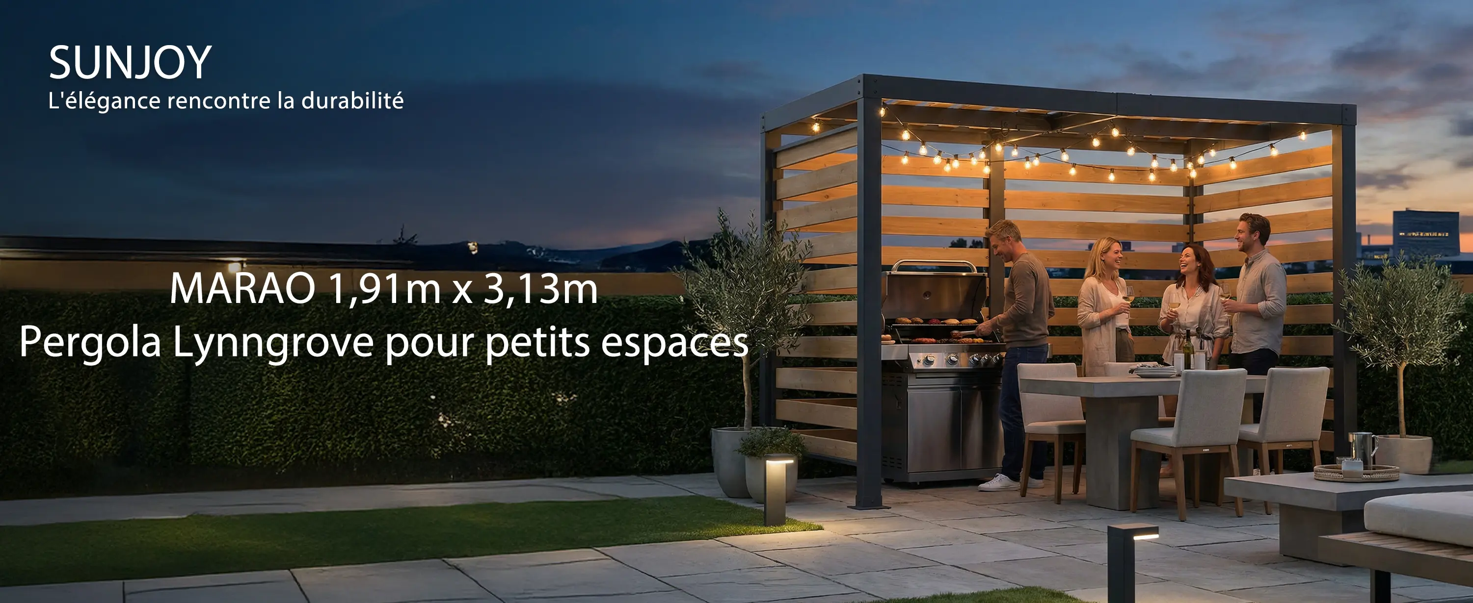 Pergola en métal 3x2 m — contenu détaillé 1