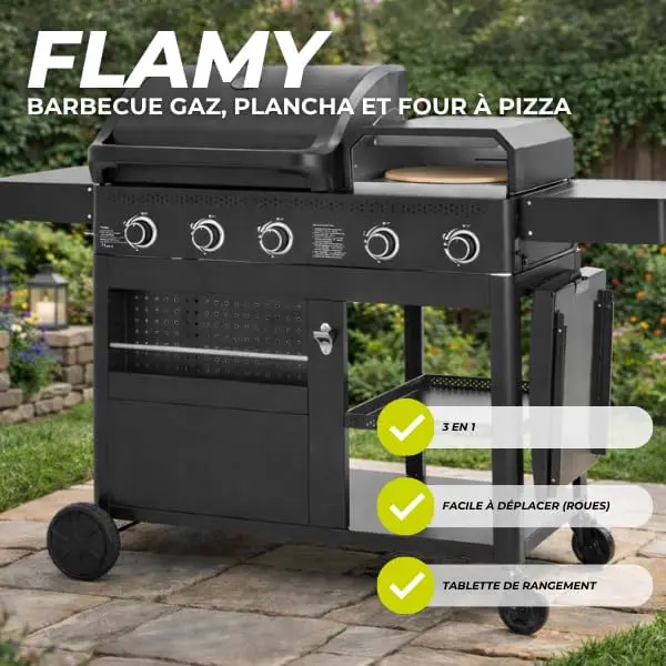 Barbecue à gaz en métal vue 5