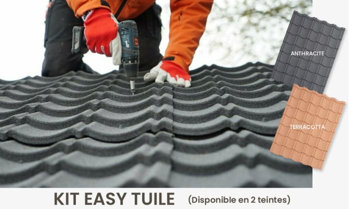 Abri de jardin en bois en bois 2,2x2,2 m vue 7